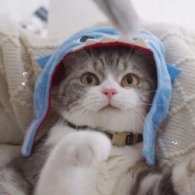 سارہ علی avatar