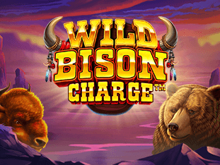 وائلڈ بائیسن چارج game screenshot