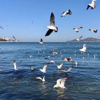 بلال احمد avatar